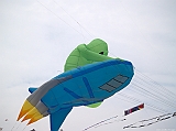 Cervia 2011-205